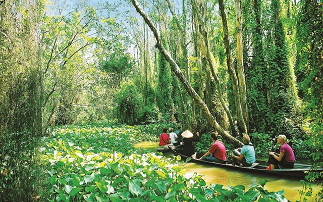 Kinh nghiệm du lịch Vườn quốc gia Tràm Chim chi tiết, ai cũng nên biết