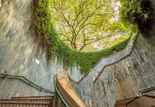 Check-in thiên đường sống ảo tại Fort Canning Park khi du lịch Singapore