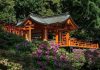 Vẻ đẹp của đền Nezu – “viên ngọc quý” nằm giữa lòng Tokyo Nhật Bản Vẻ đẹp của đền Nezu - “viên ngọc quý