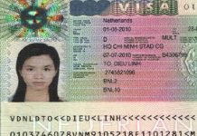 visa Ha Lan